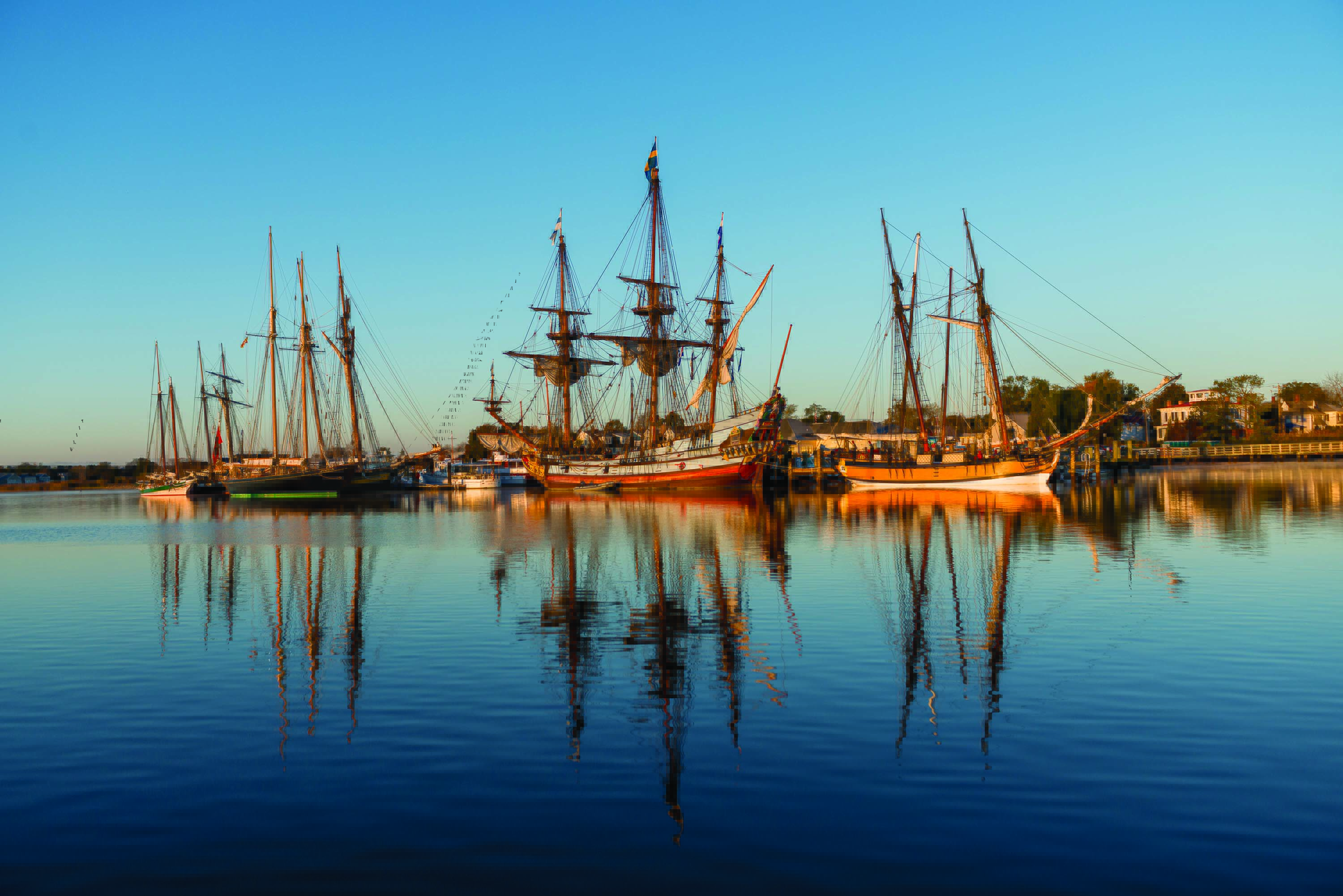 Sailing tall ships 