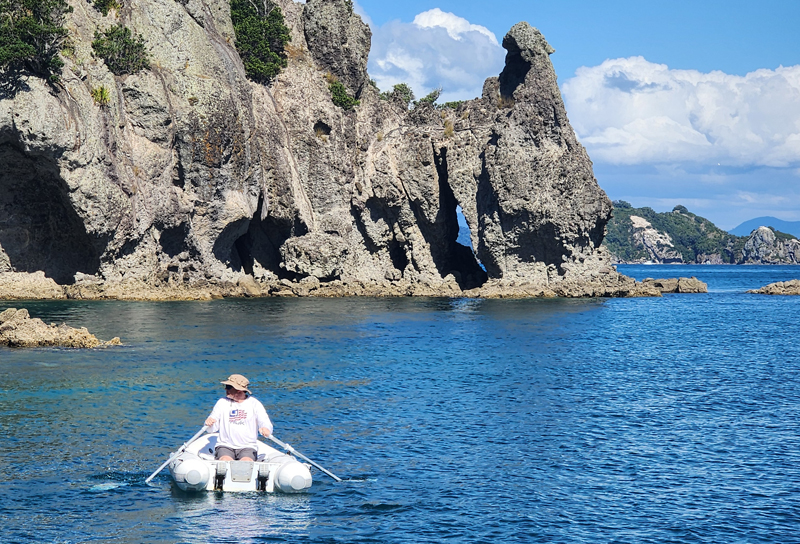 rowing a dinghy in the waters off New Zealand man rowing a dinghy in the waters off New Zealand