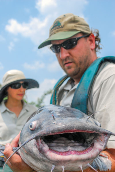 Reeling in Invasive Blue Catfish in the Chesapeake Bay
