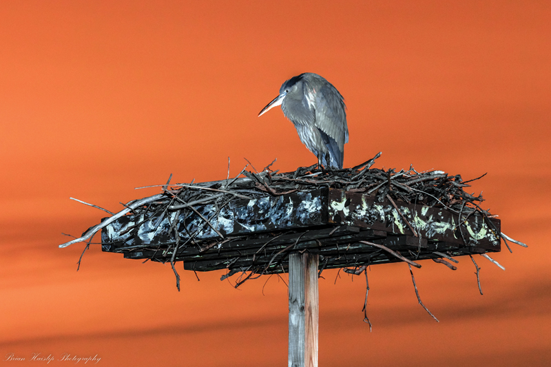 Chesapeake photography by Brian Haislip