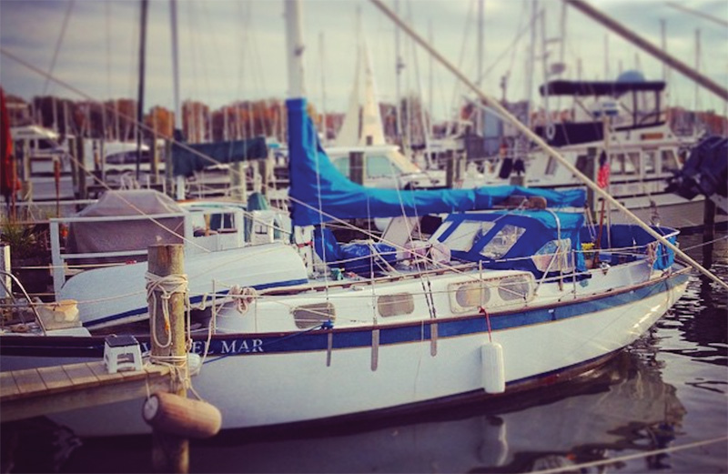 sailboat in marina slip
