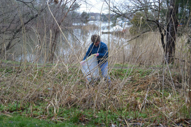 Local sailor Carole Jordan doing her part to clean up her local stream. 