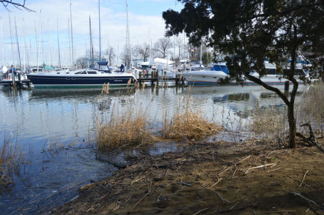 Take one garbage bag and one hour to walk the shoreline near your boat, and you might be surprised (and very unhappy) about what you find.