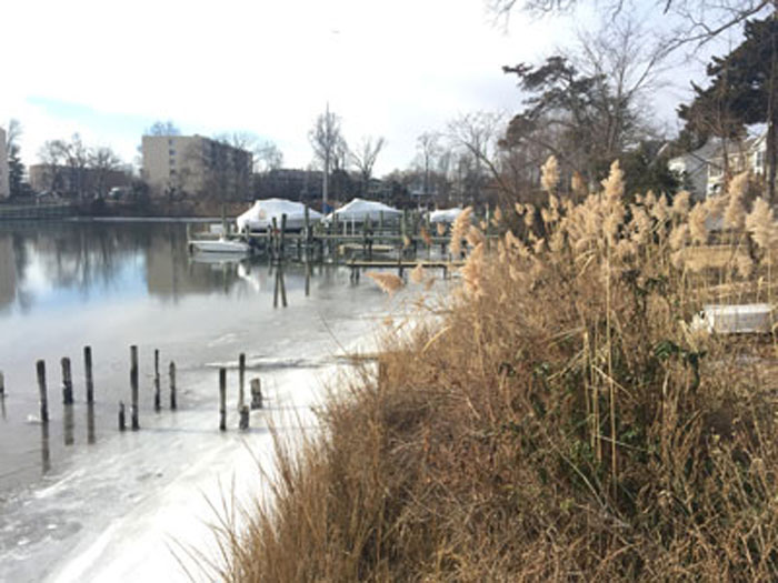 Back Creek in Annapolis January 3, 2018.