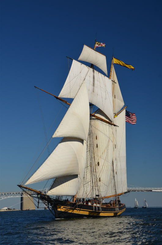 Baltimore's Pride Comes Home | SpinSheet