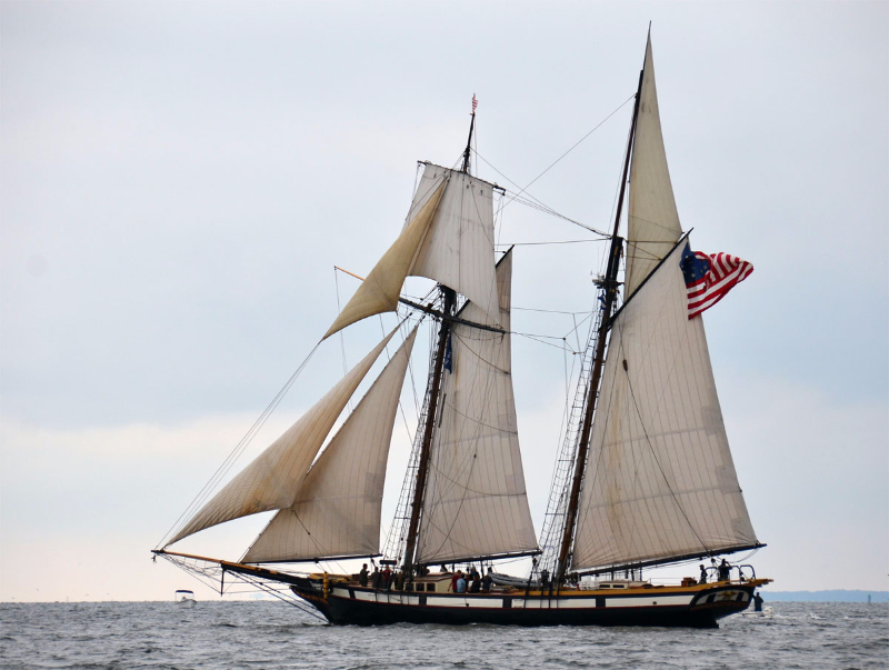 Sailor Trivia What was the largest sailing vessel ever built? SpinSheet