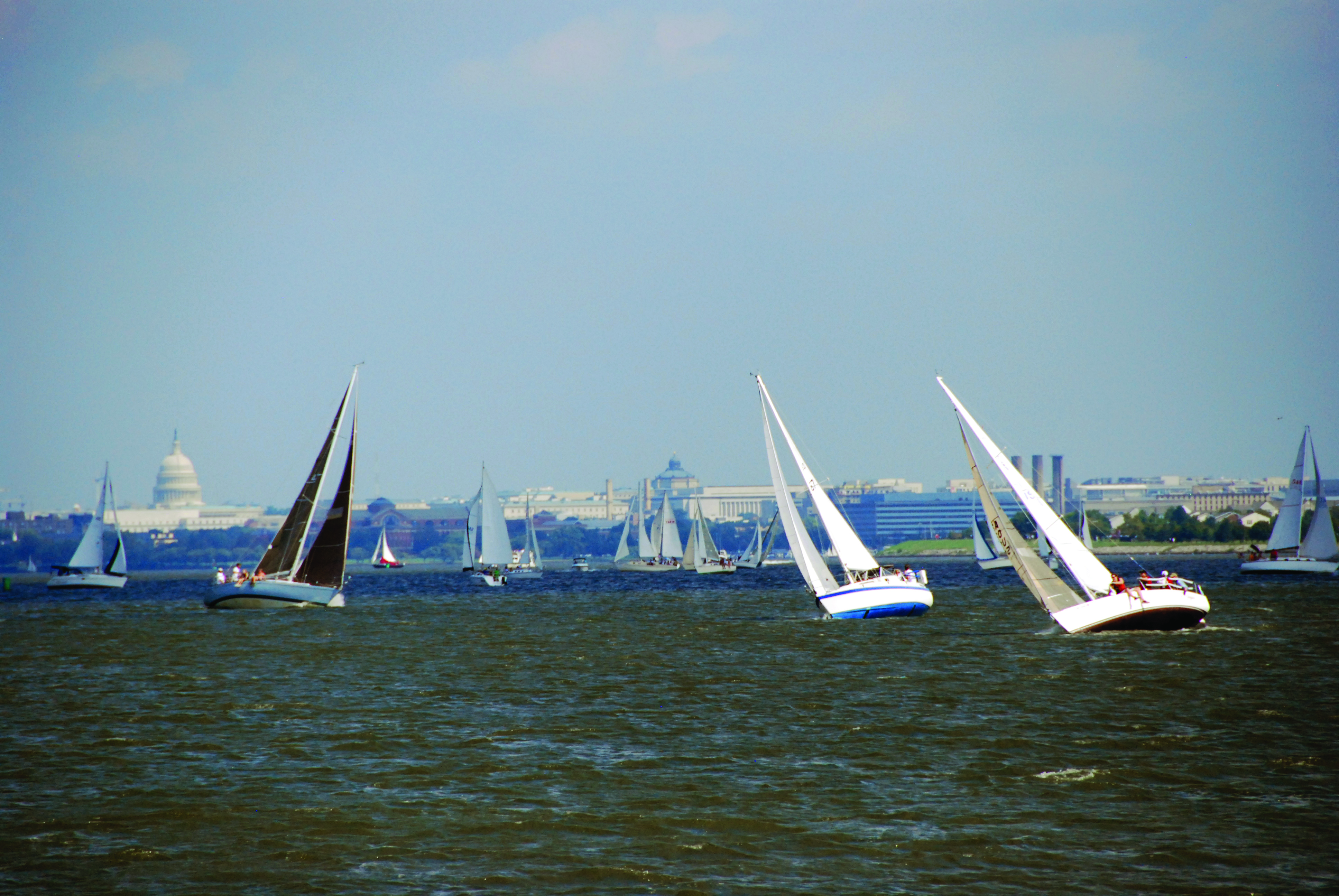 Daingerfield Island Sailing Club