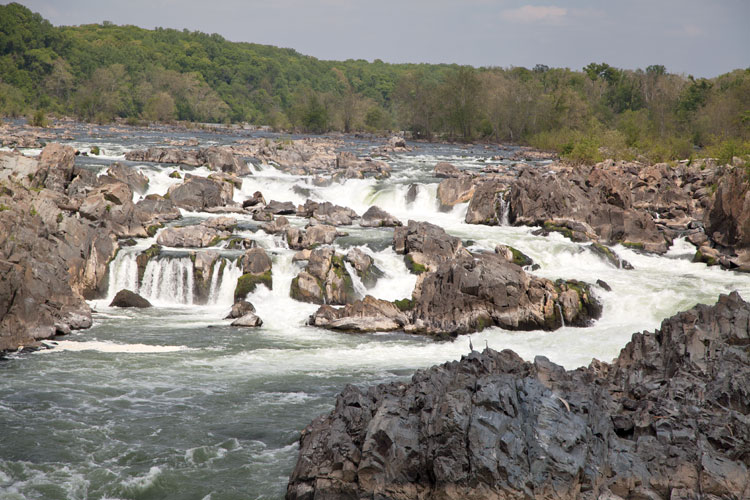 At Great Falls the Potomac River builds up speed and force. Photo by Sarah Hauser, Virginia Tourism Corporation