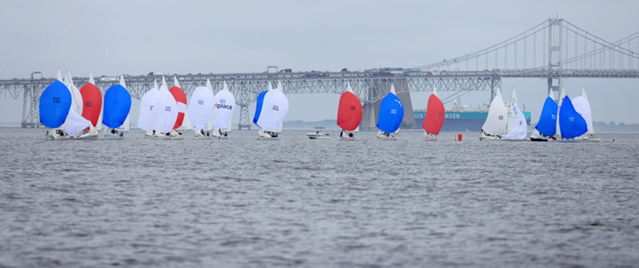 sail boat regatta