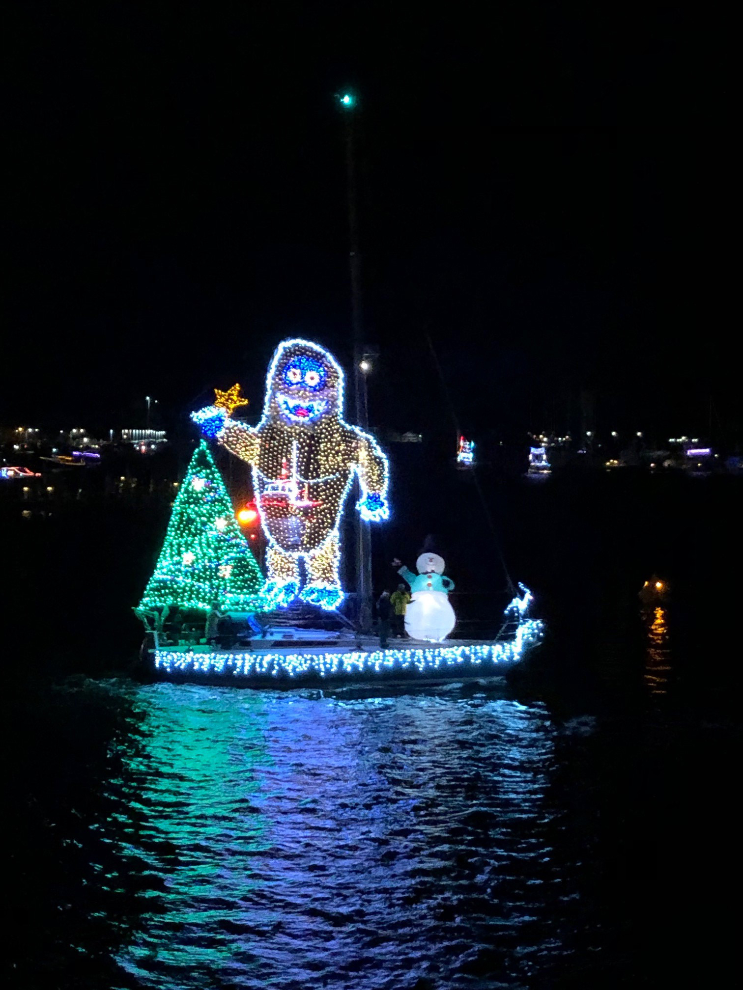Holiday lighted boat parade