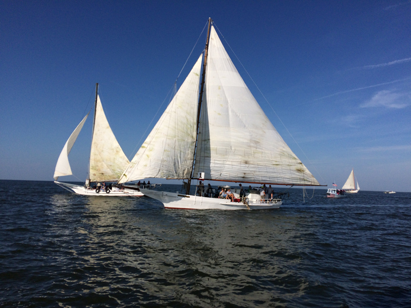 Skipjack Race and Festival on Deal Island, MD