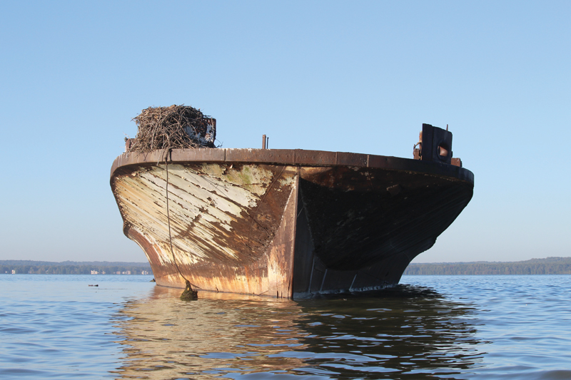 Ghost fleet Mallows Bay