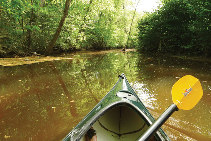 McIntosh Run. Photo by Craig Ligibel