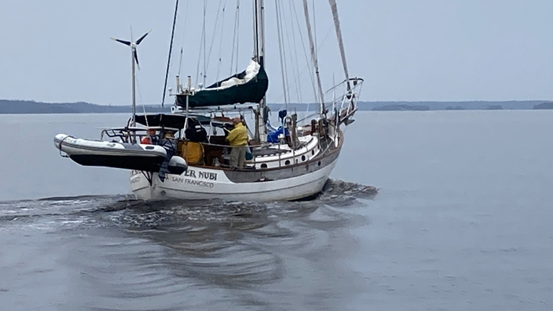 Nefer Nubi charter in Maine