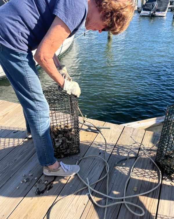a woman on a dock with oyster cages