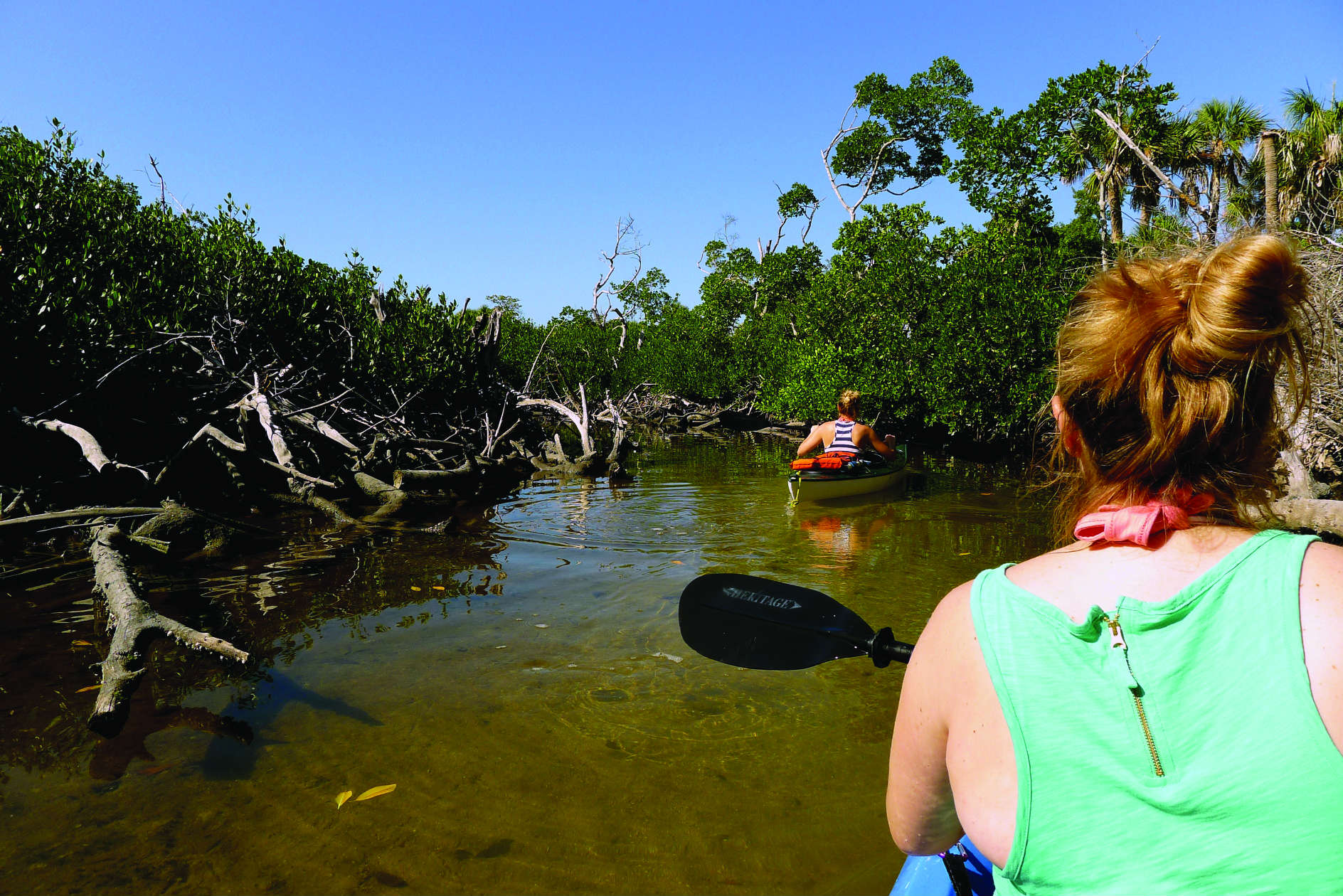 Kayaking through the tunnel of love.