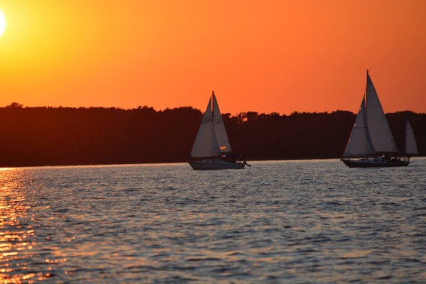 Sippy Cup Regatta