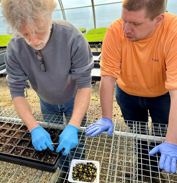 planting native grasses