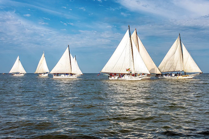 Skipjacks by Glenn Thompson Skipjack sailboats