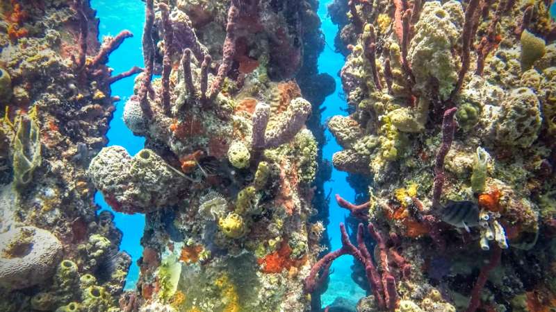 St. Croix diving