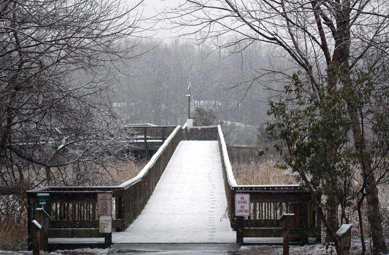 Chesapeake Beach Railway Trail in winter