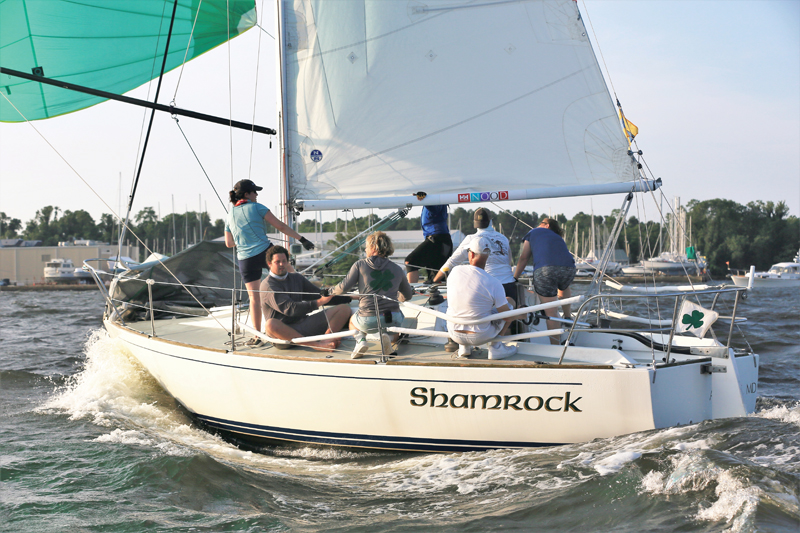 Shamrock sailing crew weeknight racing