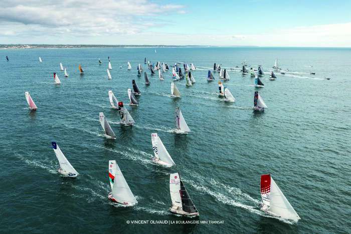 mini transat sailing racing fleet Vincent Olivaud