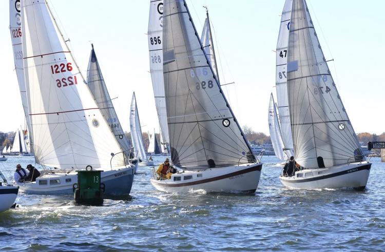 cal 25 sailing 