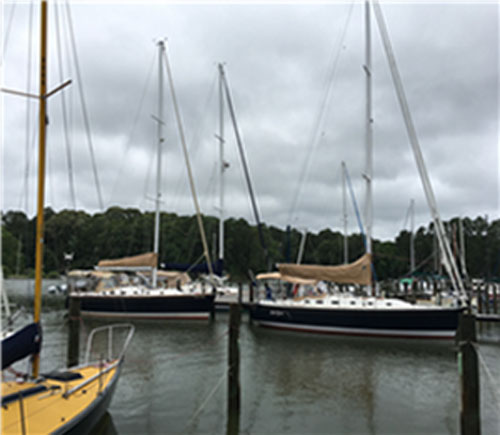 Chesapeake Bay Tartan Sailing Club sailboats