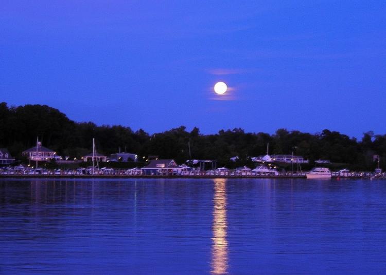 Photo courtesy of Skipjack Cove Marina