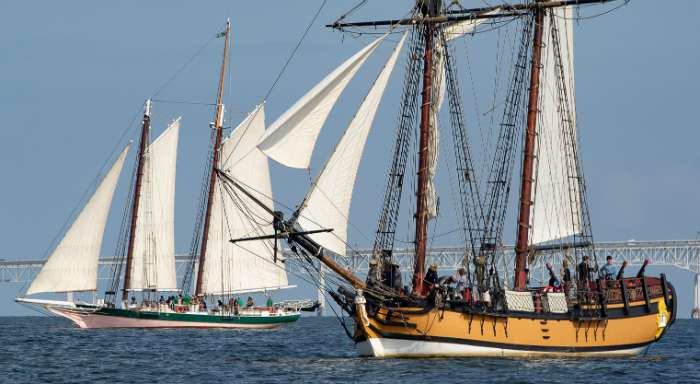 schooner racing 2024
