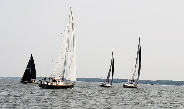 Photo courtesy of Ashley StClair of the Leukemia Cup Regatta