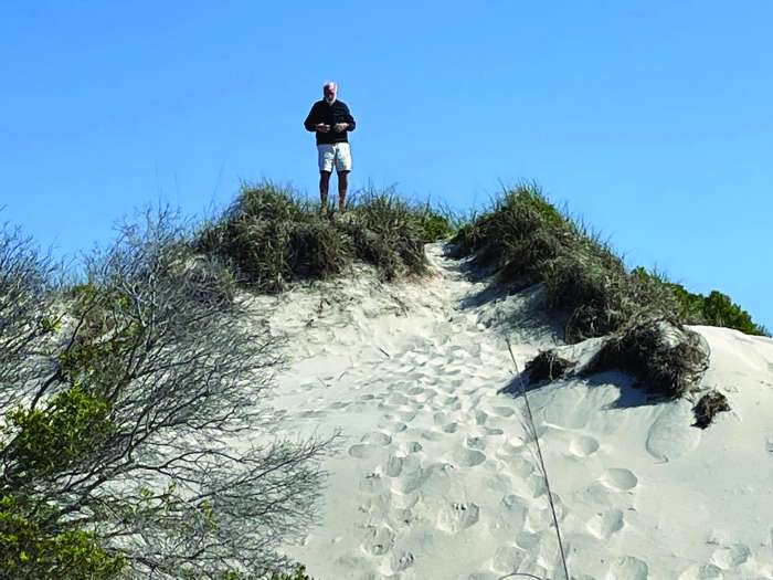 Dunes at bird island