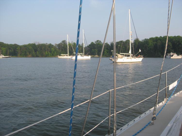 Sailboats in an anchorage in the Chesapeake Bay