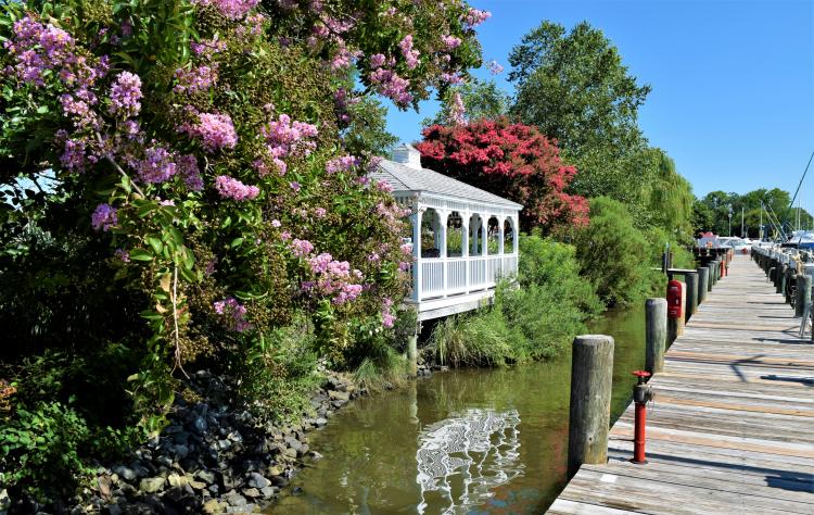 Shipwright Harbor Marina