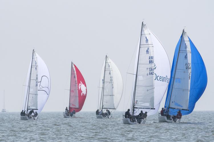 2019 NOOD Regatta