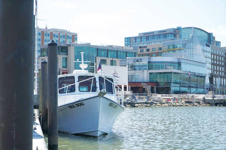 Sea Dog at National Harbor.  Photo courtesy of WAMU 88.5 via Twitter