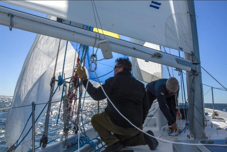 sailing schooner race