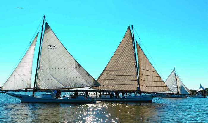 cambridge maryand skipjacks sailing