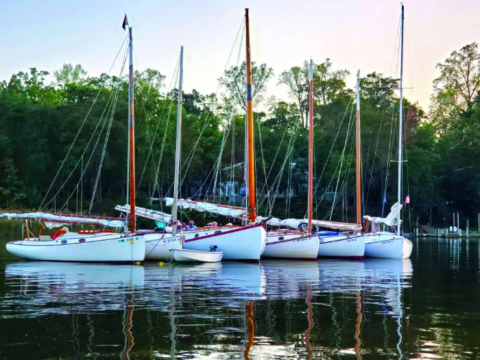 catboat sailing chesapeake