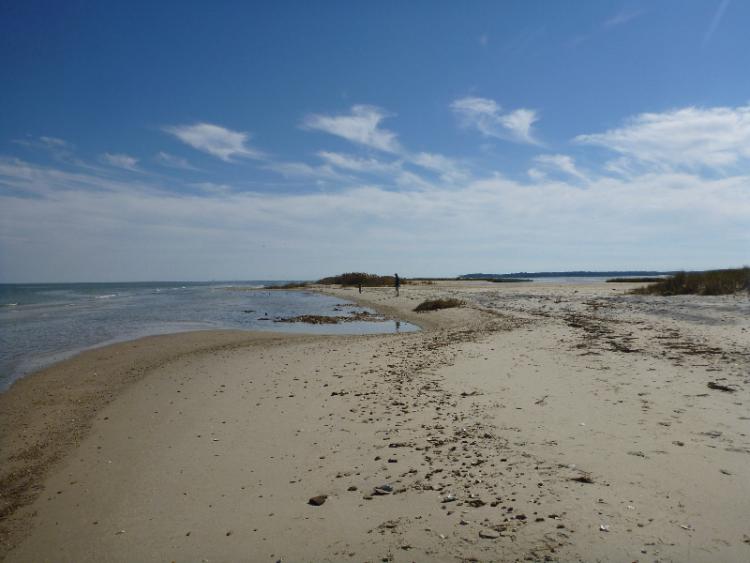 Gwynn's Island, in the southern Chesapeake Bay, is a good spot for sailors to find secluded beaches