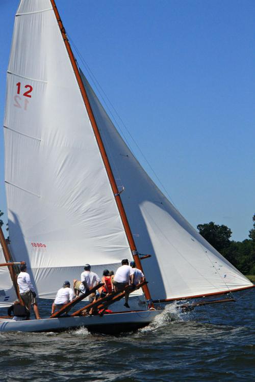 Sailing log canoes