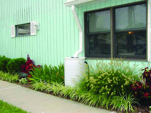 Rain Barrel