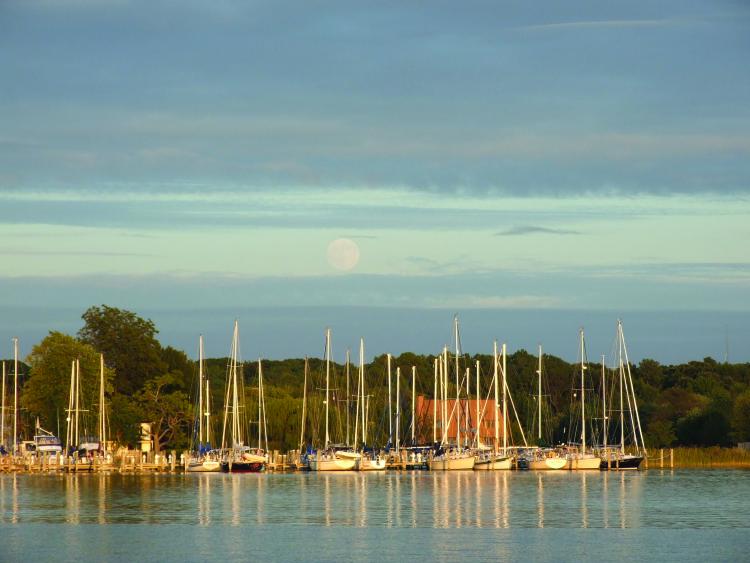 moonrise rock hall