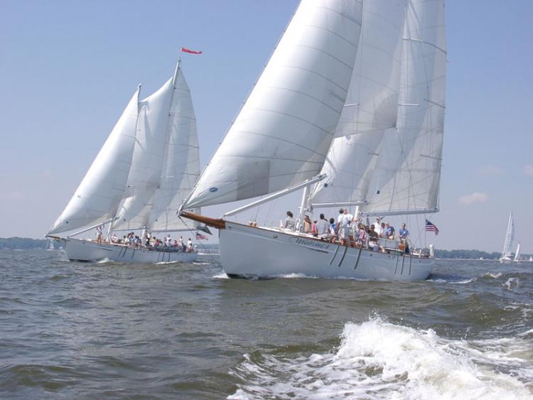 boat maryland week schooner woodwind race