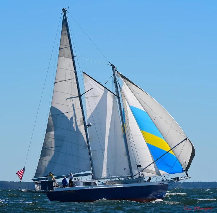 schooner race tom bombadil