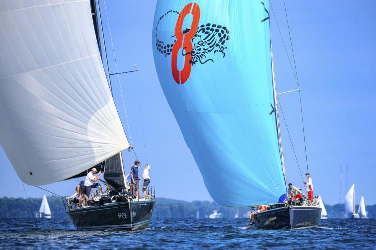 hospice cup sailing