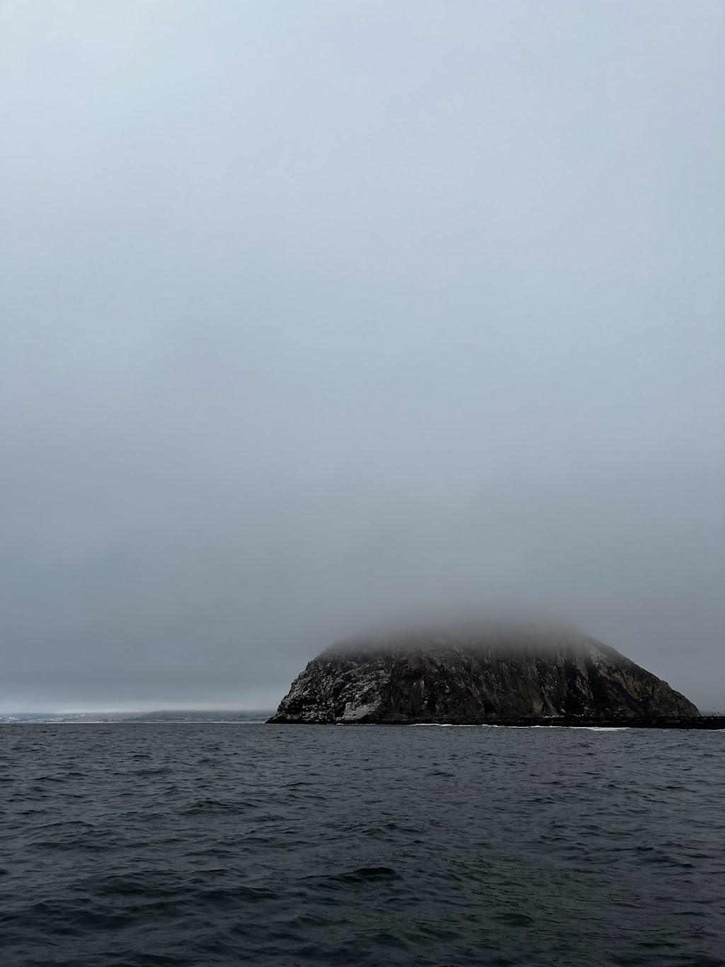 IMG_0255.jpg SpinSheet