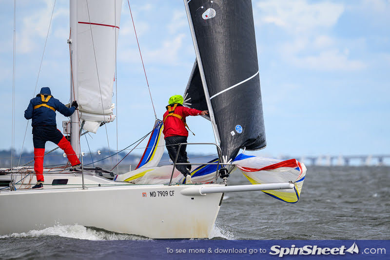 Img 0730 Jpg Spinsheet