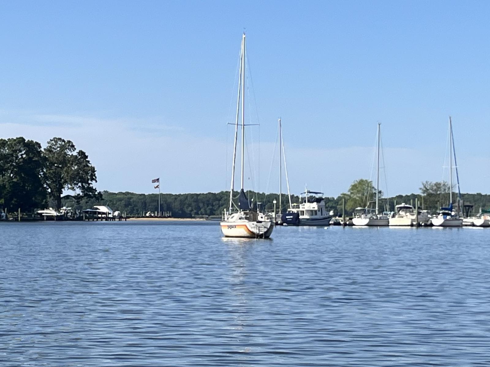 Img 1033 Jpeg Spinsheet